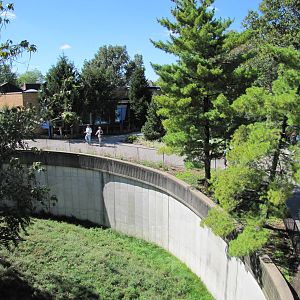 Saint Louis Zoo 2010 - Part of African Lion exhibit in Big Cat Country