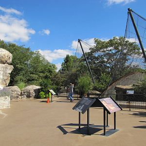 Saint Louis Zoo 2010 - General view in Big Cat Country
