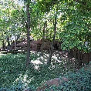 Saint Louis Zoo 2010 - Okapi exhibit in Red Rocks