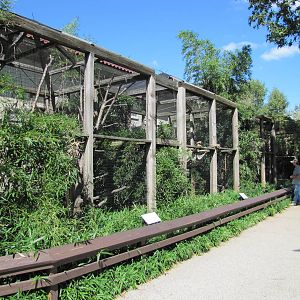 Saint Louis Zoo 2010 - Outdoor enclosures at the Historic Primate House