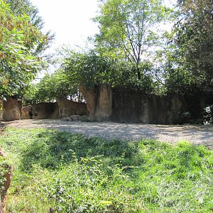 Saint Louis Zoo 2010 - Part of Black Rhino exhibit in Rivers Edge