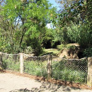 Saint Louis Zoo 2010 - Front of Spotted Hyena exhibit in Rivers Edge