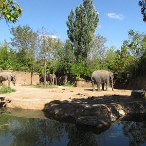 Saint Louis Zoo 2010 - Part of Asiatic Elephant exhibit in Rivers Edge