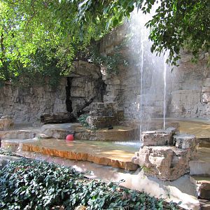 Saint Louis Zoo 2010 - Spectacled Bear grotto