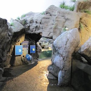 Saint Louis Zoo 2010 - General view inside Penguin and Puffin Coast