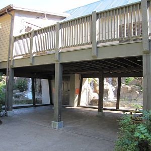 Saint Louis Zoo 2010 - Chimpanzee exhibit viewing window