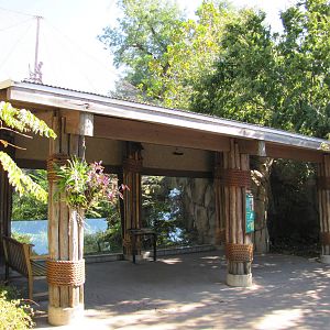Saint Louis Zoo 2010 - Another Chimpanzee exhibit viewing window