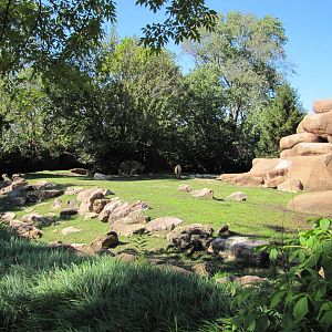 Saint Louis Zoo 2010 - Part of Sichuan Takin exhibit in Red Rocks