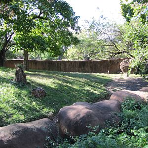 Saint Louis Zoo 2010 - Part of Soemmerrings Gazelle exhibit in Red Rocks