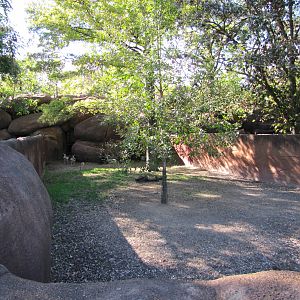 Saint Louis Zoo 2010 - Spekes Gazelle exhibit in Red Rocks