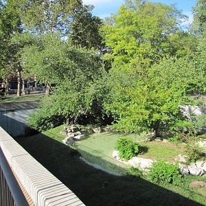 Saint Louis Zoo 2010 - Part of amazing open-top Jaguar exhibit in Big Cat C