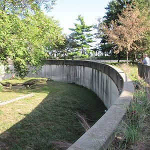 Saint Louis Zoo 2010 - Part of African Lion exhibit in Big Cat Country
