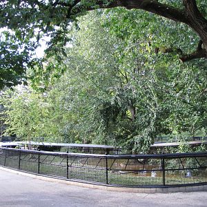 Saint Louis Zoo 2010 - North American River Otter exhibit