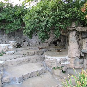 Saint Louis Zoo 2010 - First part of Grizzly Bear grotto