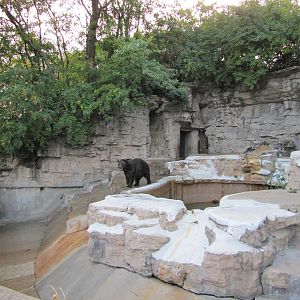 Saint Louis Zoo 2010 - Second part of Grizzly Bear grotto
