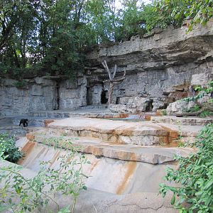 Saint Louis Zoo 2010 - First part of Malayan Sun Bear grotto