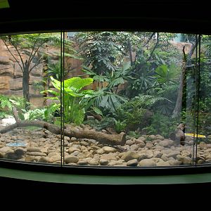 viewing into ground level of the butterfly house