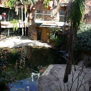 crocodile enclosure