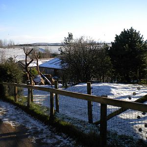 Pygmy Hippo&Mandrill Enclosure.