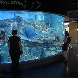 Coral Atoll Tank