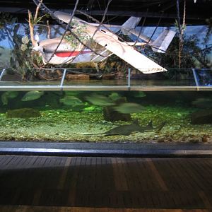 South-East Asian Lagoon