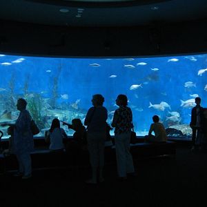 Oceanarium