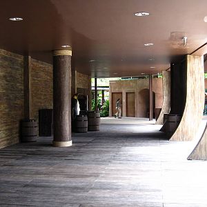 Penguin Coast - "Hull" of the Galleon