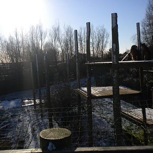 Jaguar Enclosure In Snow.