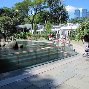 Central Park Zoo 2010 - One part of the historic Sea Lion Pool