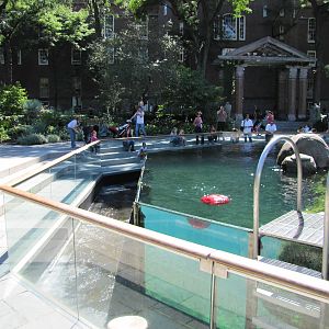 Central Park Zoo 2010 - Another part of the historic Sea Lion Pool