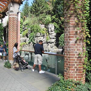 Central Park Zoo 2010 - Front of Common Seal exhibit