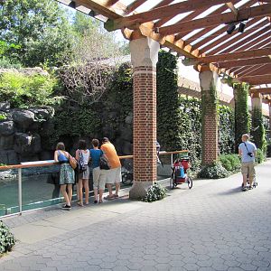 Central Park Zoo 2010 - Alongside Common Seal exhibit