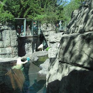 Central Park Zoo 2010 - Part of Polar Bear exhibit