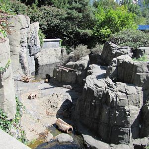 Central Park Zoo 2010 - Part of Japanese Macaque exhibit
