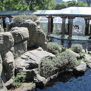 Central Park Zoo 2010 - Another part of Part of Japanese Macaque exhibit