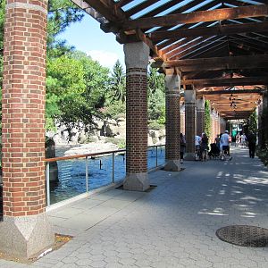 Central Park Zoo 2010 - Alongside Japanese Macaque exhibit
