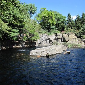 Central Park Zoo 2010 - Japanese Macaque exhibit from across the water