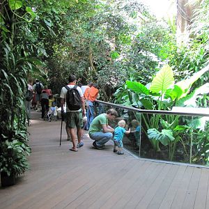 Central Park Zoo 2010 - General view inside Tropic Zone
