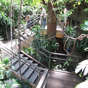 Central Park Zoo 2010 - General view inside Tropic Zone