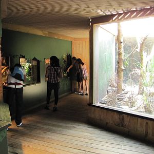 Central Park Zoo 2010 - General view inside Tropic Zone