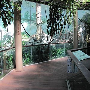 Central Park Zoo 2010 - General view inside Tropic Zone