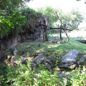 Queens Zoo 2010 - Very nice Spectacled Bear exhibit