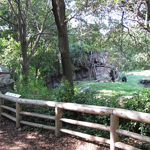 Queens Zoo 2010 - Front of very nice Spectacled Bear exhibit