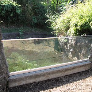 Queens Zoo 2010 - Front of Southern Pudu exhibit