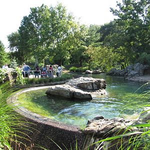 Queens Zoo 2010 - End to end view of Sea Lion Pool