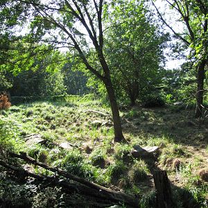 Queens Zoo 2010 - Part of large Coyote enclosure