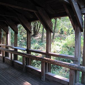 Queens Zoo 2010 - Viewing Point at Coyote enclosure