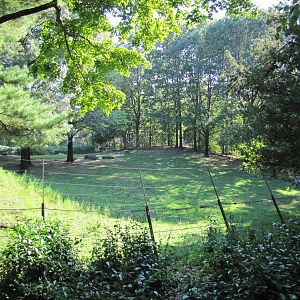 Queens Zoo 2010 - Part of Wapiti enclosure