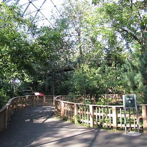 Queens Zoo 2010 - Inside Free-flight Aviary