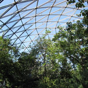 Queens Zoo 2010 - Inside Free-flight Aviary